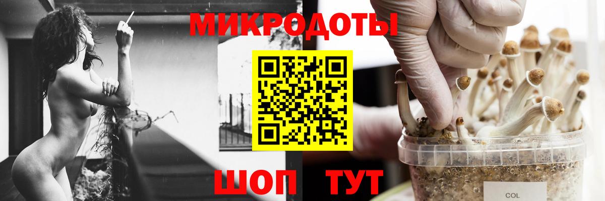 Галлюциногенные грибы Psilocybine cubensis  Вход с VPN  Псилоцибиновые грибы Psilocybe  Южноуральск 